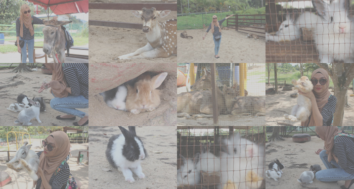 animalfarm